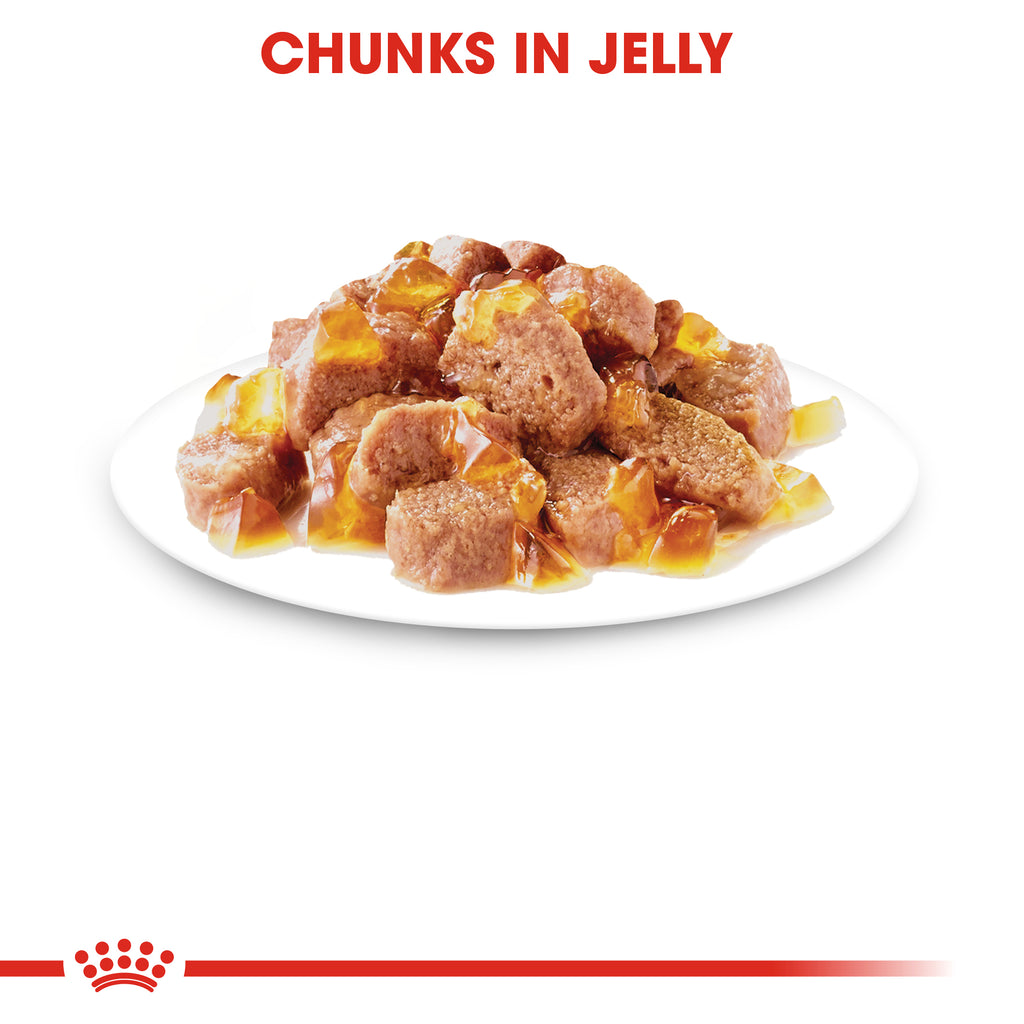 Royal Canin Instinctive in Jelly Wet Food Pouches