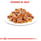 Royal Canin Kitten in Jelly Wet Food Pouches