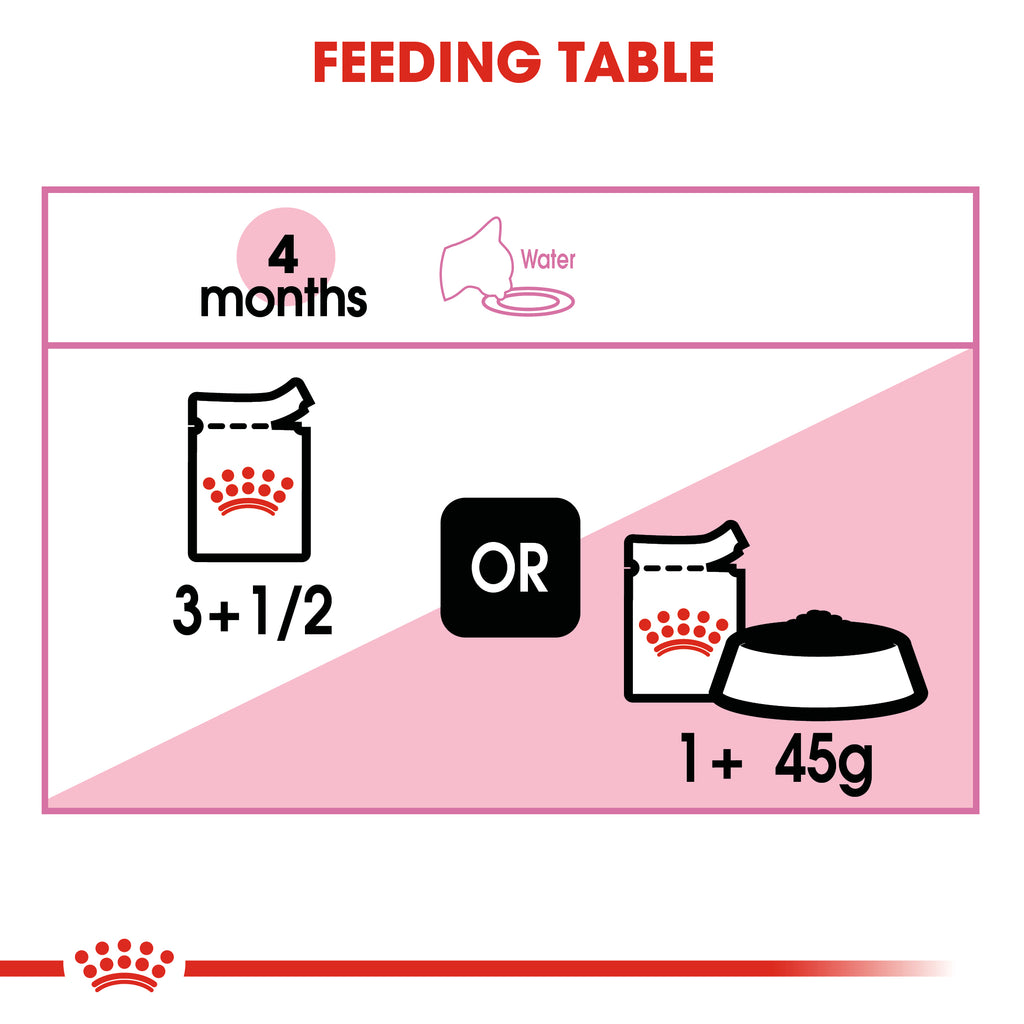 Royal Canin Kitten in Jelly Wet Food Pouches