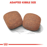 Size Health Nutrition Giant Adult 15 KG