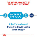 Size Health Nutrition Maxi Starter