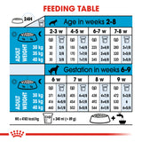 Size Health Nutrition Maxi Starter