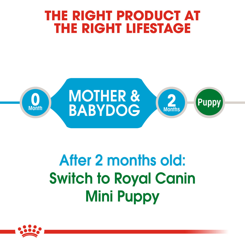 Royal Canin Mini Starter 1kg
