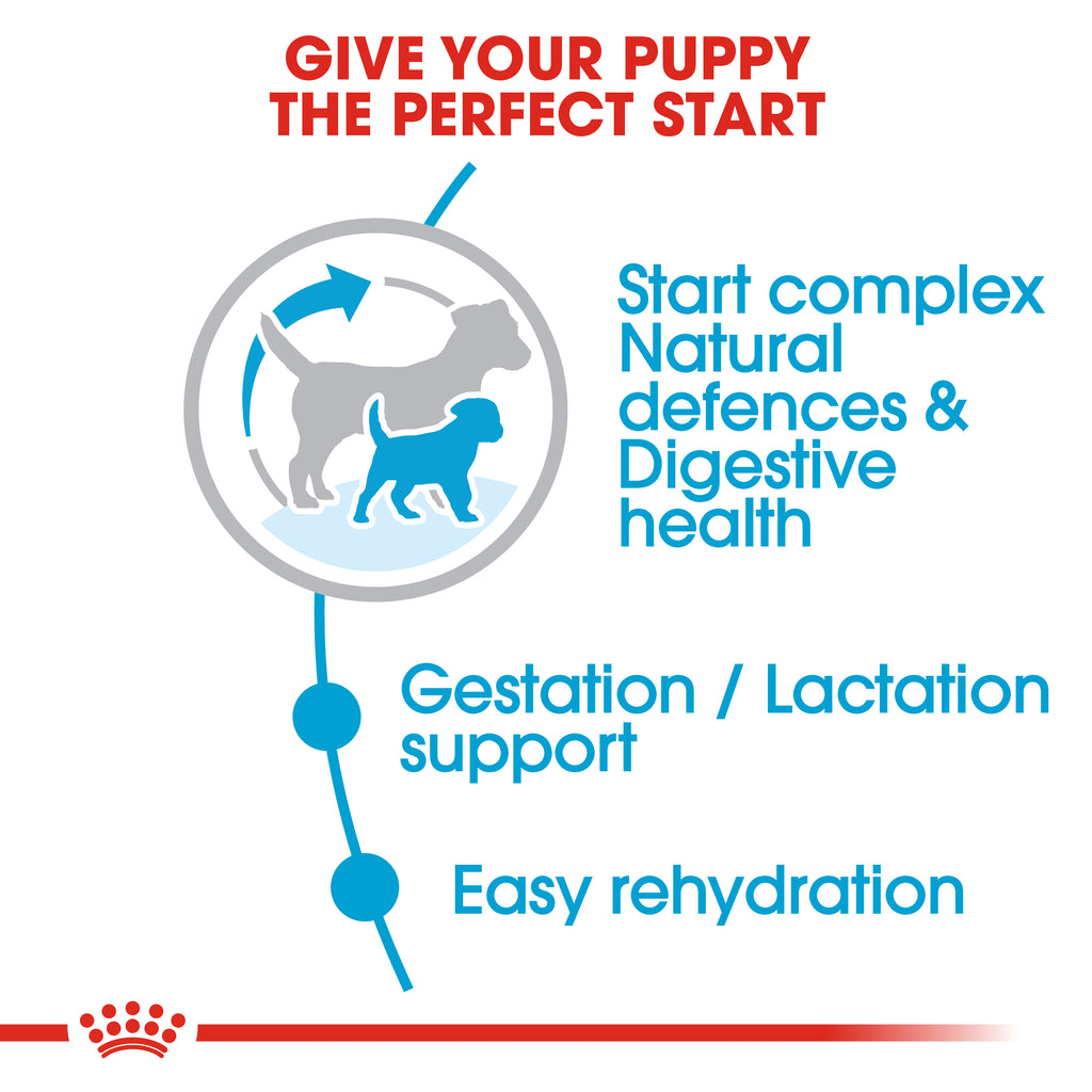 Royal Canin Mini Starter 1kg