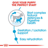 Royal Canin Mini Starter 1kg