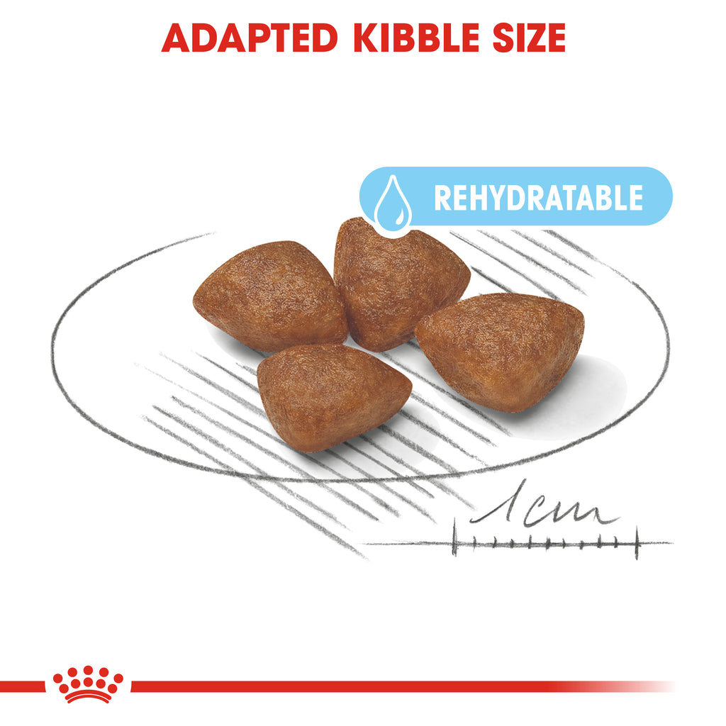 Royal Canin Mini Starter 1kg