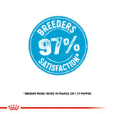 Royal Canin Mini Starter 1kg