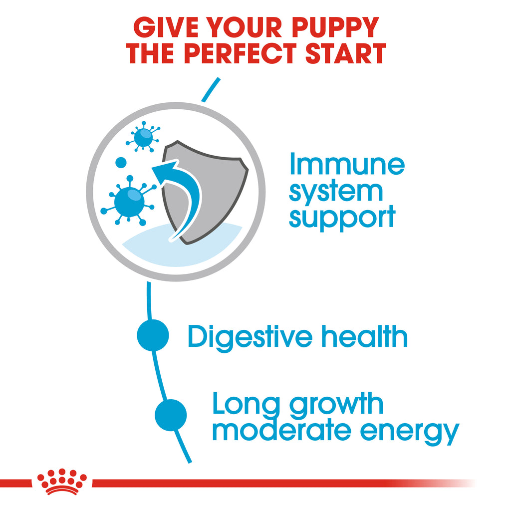 Royal Canin Maxi Puppy Wet Food Pouches