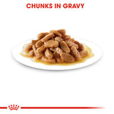 Royal Canin Maxi Puppy Wet Food Pouches
