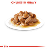 Royal Canin Mini Adult Wet Food Pouches