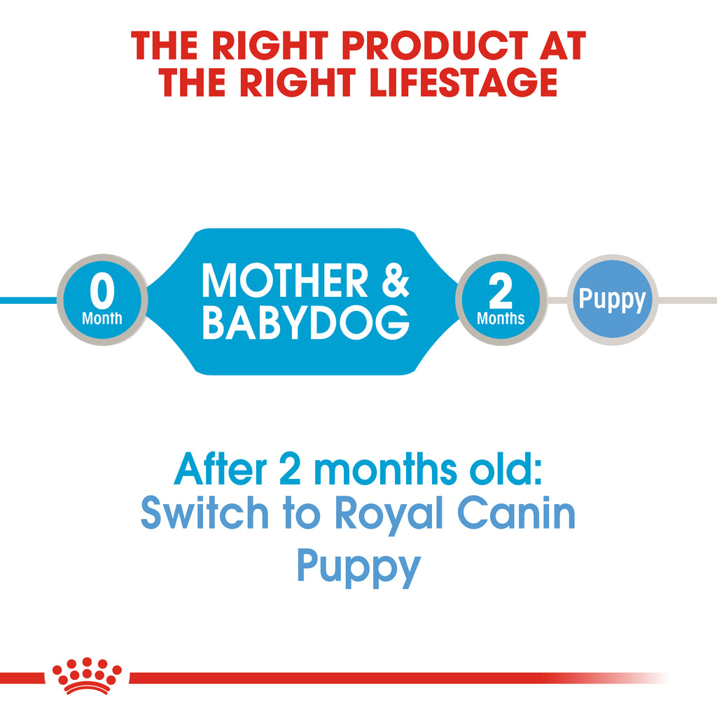 Canine Health Nutrition Starter Mousse (WET FOOD - Cans) 12 x 195g