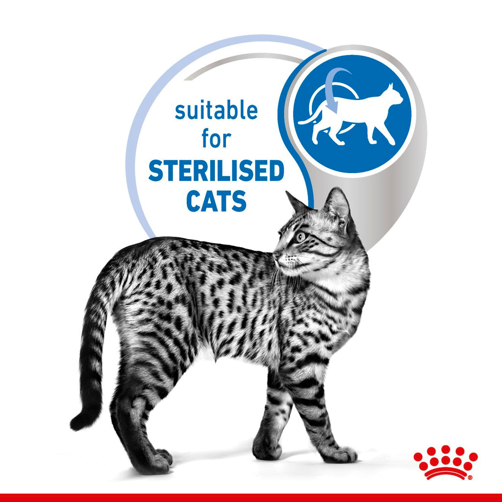Feline Health Nutrition Indoor 7+ Jelly Wet Food Pouches