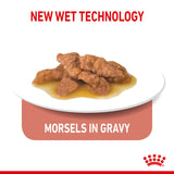 Feline Health Nutrition Indoor Wet Food Pouches