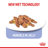 Feline Health Nutrition Indoor Jelly Wet Food Pouches