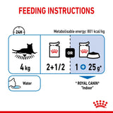 Feline Health Nutrition Indoor Jelly Wet Food Pouches