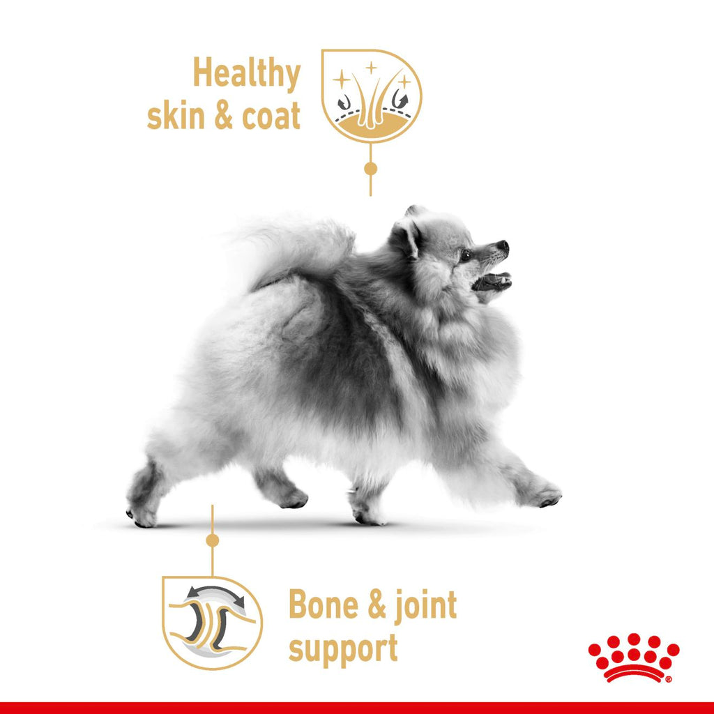 Breed Health Nutrition Pomeranian Wet Food Pouches
