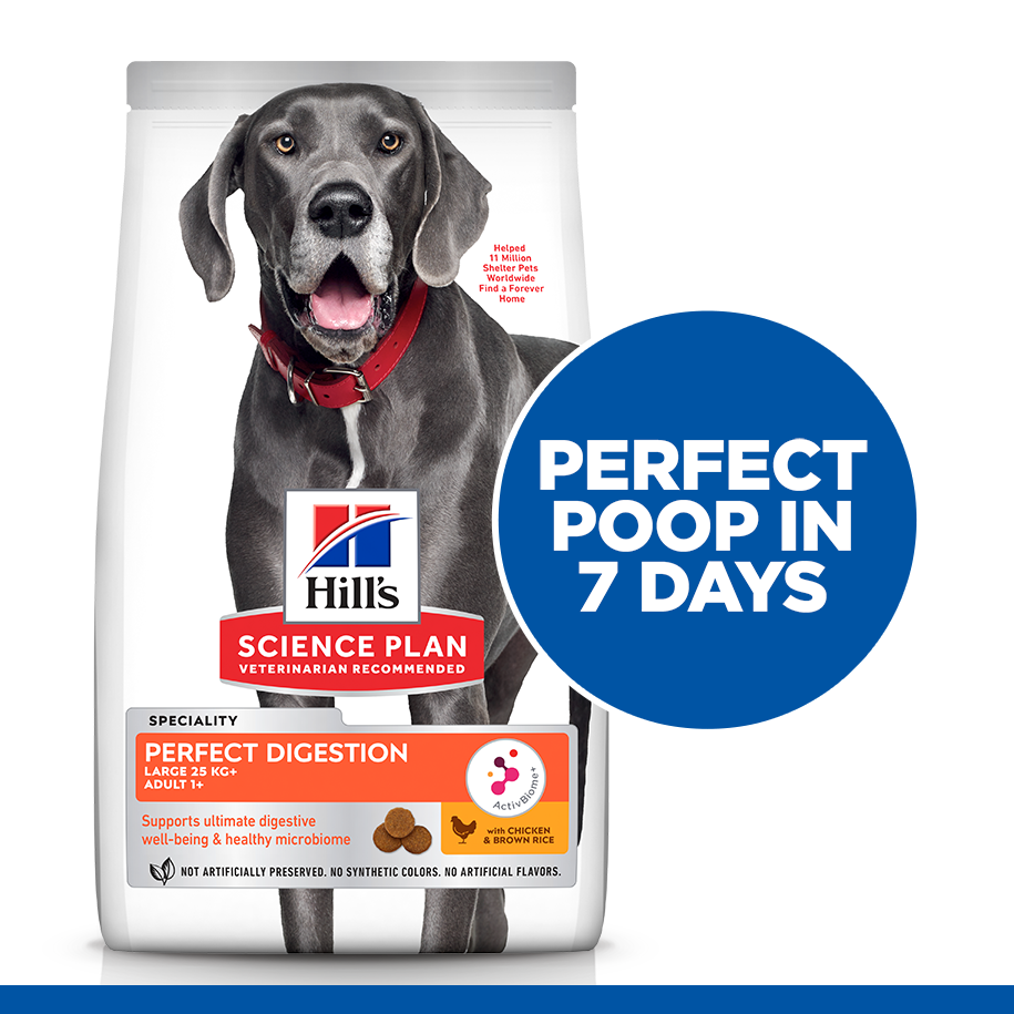 Hill’s Science Plan Perfect Digestion Large Breed Adult 1+ Dog Food With Chicken And Brown Rice 14kg