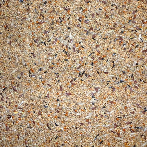 Exotic Mix 20kg