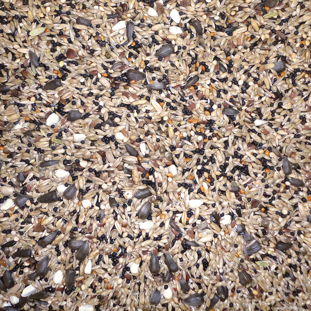 Wild Bird Mix 20kg