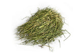 Premium Alfalfa Hay Bale (400–500 kg) – 16% Protein