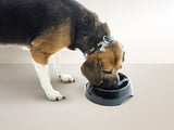 Savic Slow Down Dog Bowl