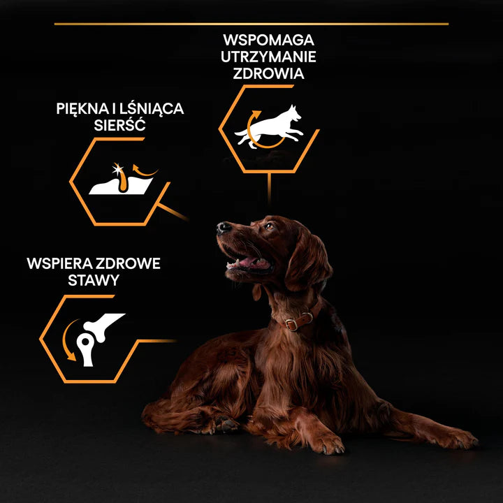 Pro Plan Large Athletic Adult Dog Chicken 14kg