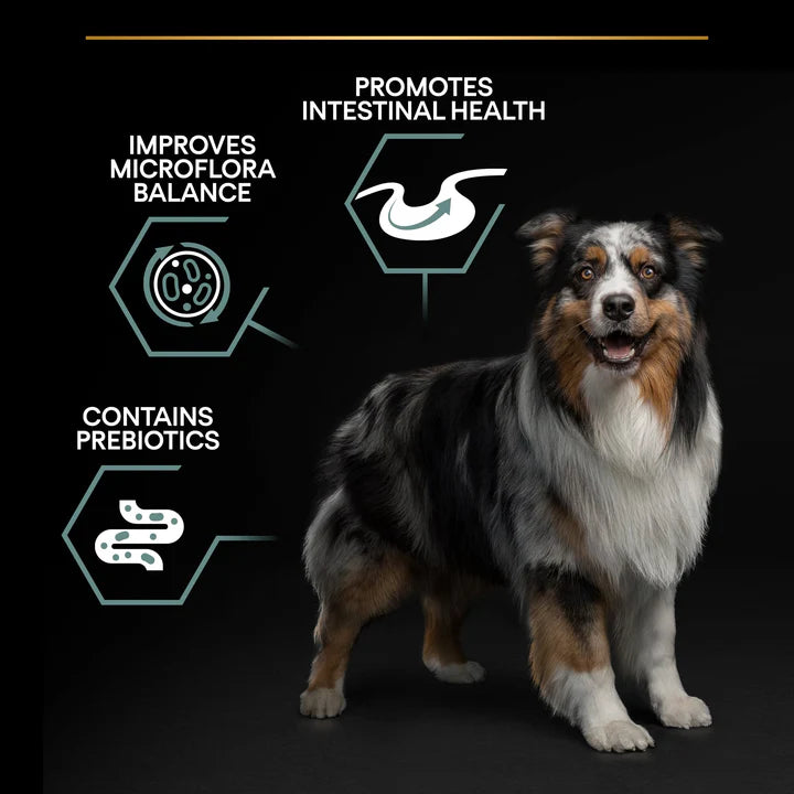 Pro Plan Medium Adult Sensitive Digestion Dog Lamb