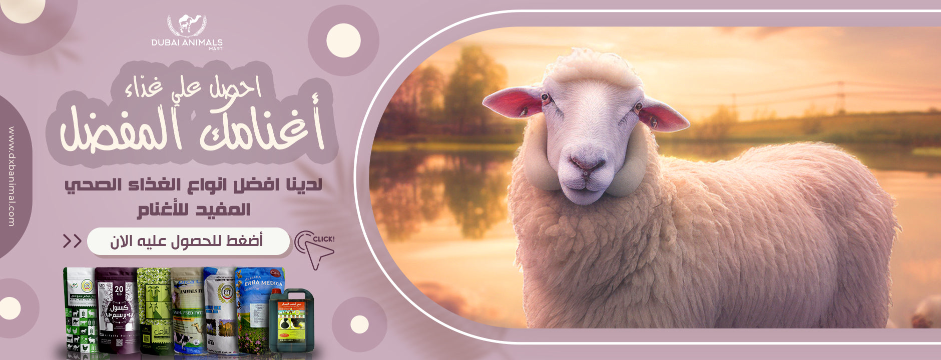Dubai Animal Mart