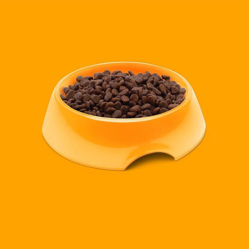 Symply Fresh Chicken All Lifestages Dry Cat Food