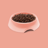 Symply Fresh Salmon All Lifestages Dry Cat Food