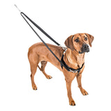 Freedom No-Pull Harness and Leash - Royal Blue / Medium 5/8"