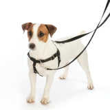 Freedom No-Pull Harness and Leash - Black / Medium 5/8"