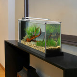 Fluval Spec Aquarium Kit Black, 19 L (5 US gal)