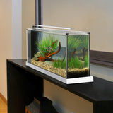 Fluval Spec Aquarium Kit White, 19 L (5 US gal)