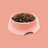 Symply Fresh Salmon All Adult Breeds Dry Dog Food