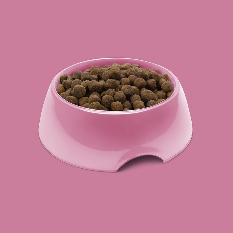 Symply Fresh Turkey All Adult Breeds Dry Dog Food