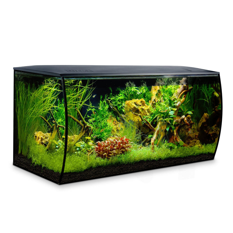 Fluval Flex Aquarium Kit Black, 123 L