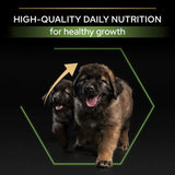 Pro Plan Large Robust Puppy Chicken