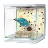 Marina Betta Kit Boy Fireworks 2 L