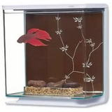Marina Betta Kit Contemporary 3 L