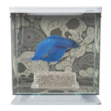 Marina Betta Kit Skull 2 L