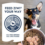 ZiwiPeak Chicken Recipe Canned Dog Food