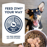 ZIWI Peak Chicken Recipe Wet Dog Food