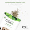 Catit Dried Catnip 28 g
