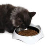 Catit Pixi Feeding Dish White