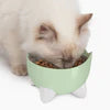 CatIt Pixi Drinking Fountain Combo Pack, Green