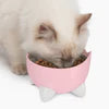 CatIt Pixi Drinking Fountain Combo Pack, Pink
