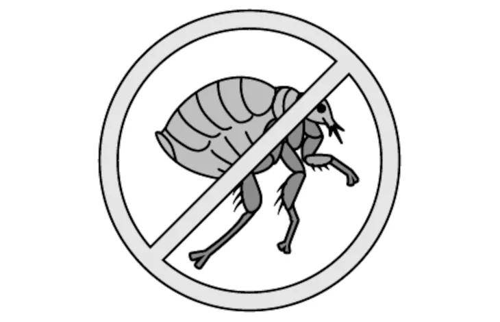 Flamingo Household Flea & Tick Stop Spray 800ml