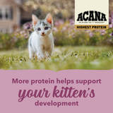 Acana Highest Protein Grain-Free Complete Kitten Dry Food 1.8kg