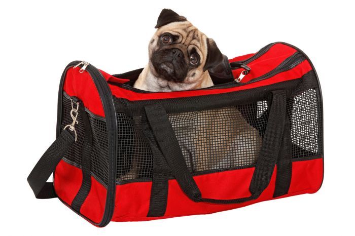 Flamingo Divina Carrying Bag